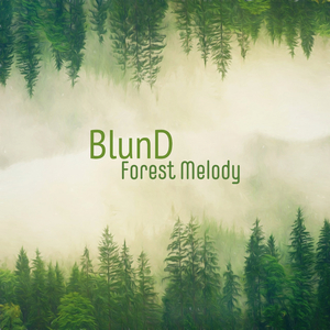 激情之双飞燕办公室
