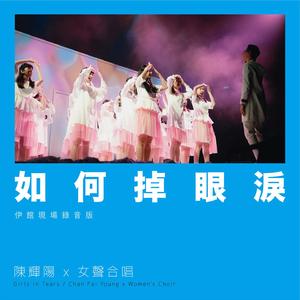 激情之双飞燕办公室
