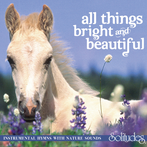 激情之双飞燕办公室
