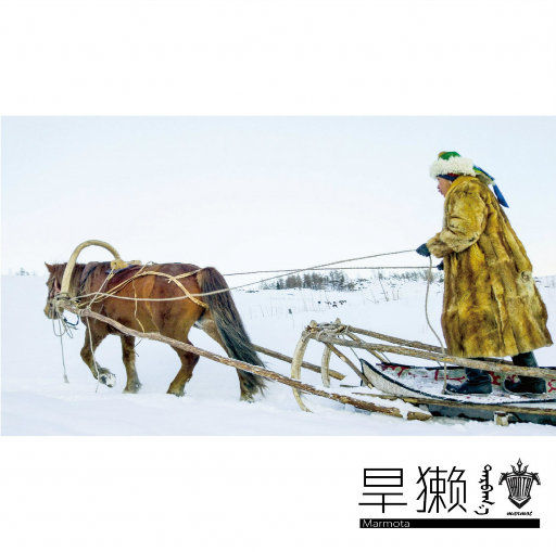 激情之双飞燕办公室
